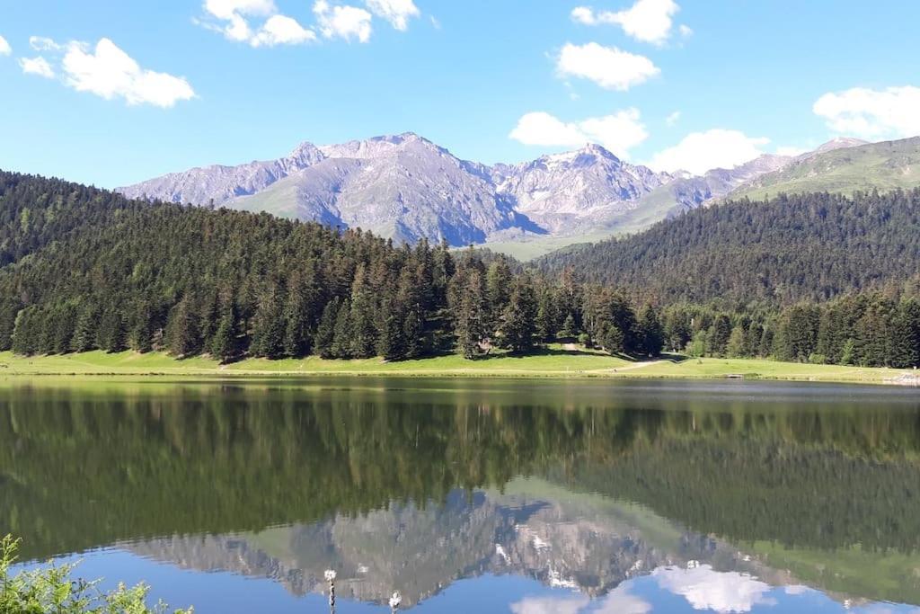 La Cabane Du Cerf A Payolle Campan Zewnętrze zdjęcie