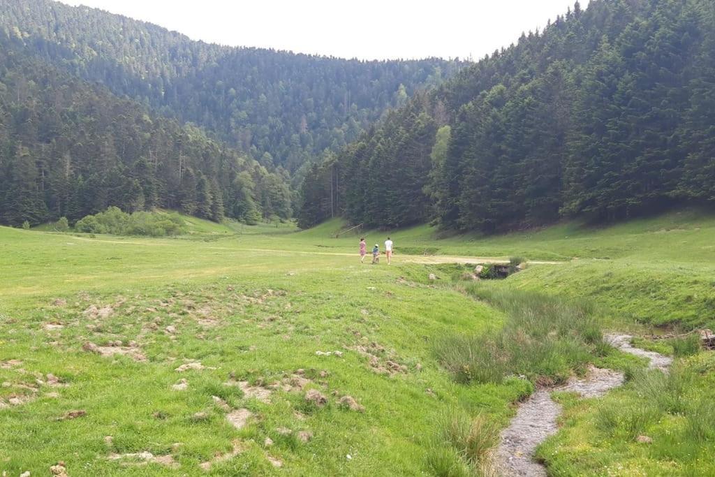 La Cabane Du Cerf A Payolle Campan Zewnętrze zdjęcie